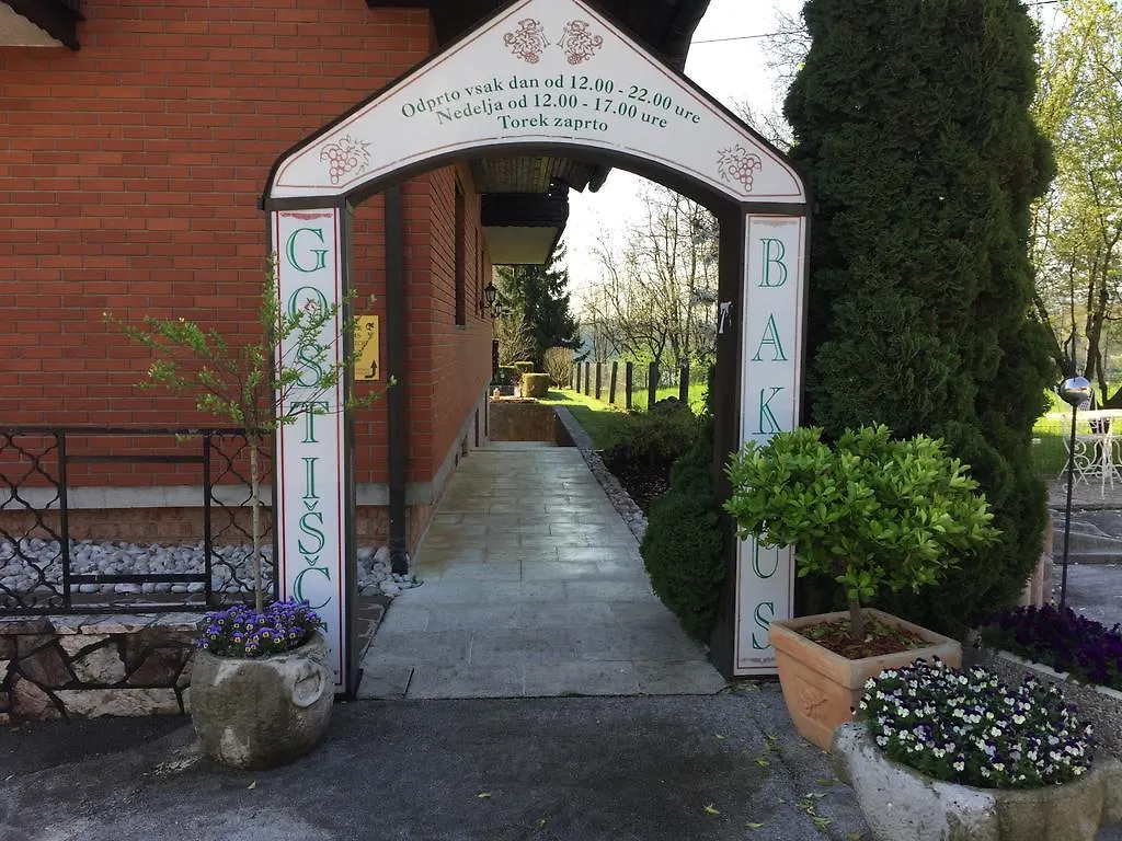 Guest House Bakhus Zerjavka Σλοβενία
